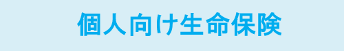 東京海上日動あんしん生命保険‐個人向け生命保険