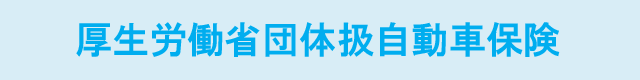 厚生労働省団体扱自動車保険